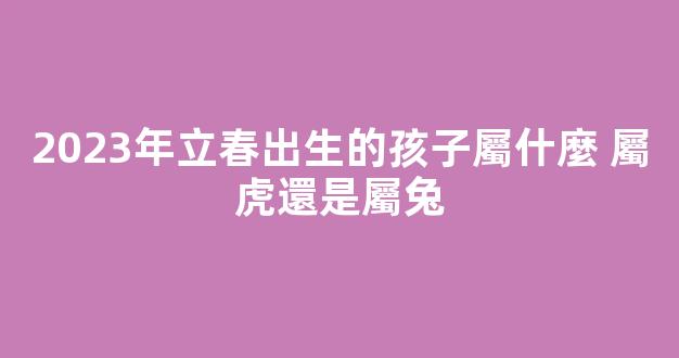 2023年立春出生的孩子屬什麼 屬虎還是屬兔